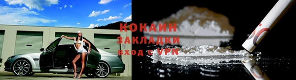 дживик Кинешма