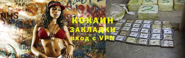 дживик Кинешма